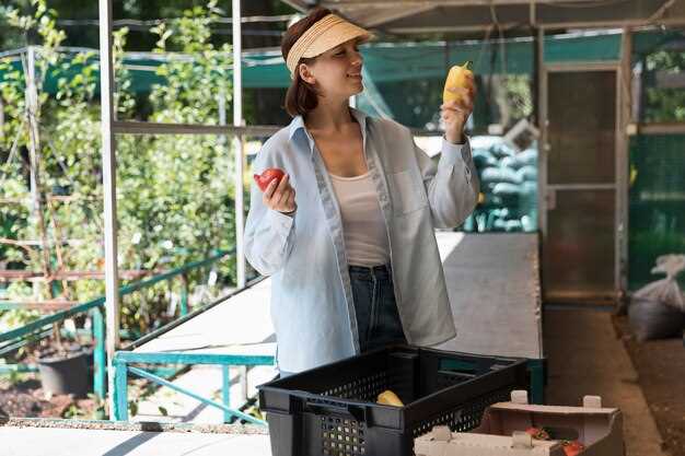 Для участков с ограниченной площадью оптимальным выбором станет компактная или модульная конструкция, способная обслуживать 2-4 человека. Размер их камеры обычно определяется объемом суточного стока: на каждые пять человек рекомендуется иметь ёмкость не менее 1,5–2 м³. При этом важен не только общий объем, но и производительность системы – она должна выдерживать пиковые нагрузки, например, в выходные дни или в период сезонных дачных работ.