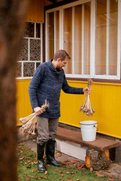 На что обратить внимание при проектировании и монтаже туалета на даче, чтобы избежать проблем с запахом и засорениями