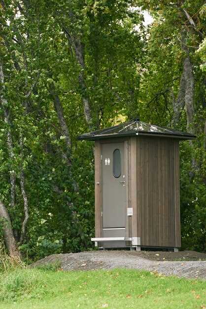 Какие септики подходят для небольших дачных участков и как правильно выбрать размер системы