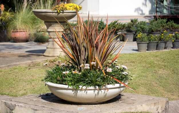 Многие садоводы выделяют необходимость выбирать точку освещения, которая одновременно подчеркивает архитектурные и природные особенности ландшафта и не создает ощущение перенасыщенности. Оптимальный вариант – устанавливать источники света вдоль основных дорожек, избегая их разброса по всей площади. Так формируется целостное восприятие и создается мягкое освещение, делающее пространство уютным после захода солнца.