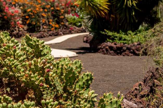 Размещайте емкости группами, создавая из них мини-ансамбли. Внимательно подбирайте расстояния, чтобы каждый вазон имел свою выразительность, а в целом композиция не казалась перенасыщенной. Компактные скопления визуально выделят ключевые области и добавят ярких акцентов.