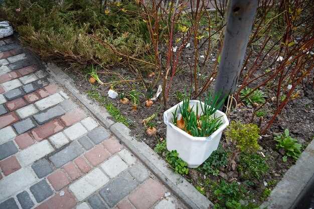 Перед выбором контейнеров для растений остановите внимание на их размерах и пропорциях относительно растительной группы. Крупные емкости отлично выделяют центральные элементы, а узкие и длинные – помогут подчеркнуть линии дорожек или границы клумб.