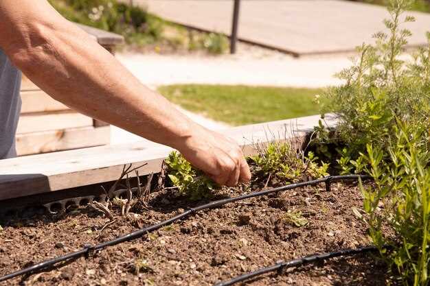 При проектировании системы отвода влаги важно учитывать особенности грунта и уровень грунтовых вод. Для участков с высоким залеганием подземных вод рекомендуется применять тарельчатые или фильтрационные системы, обеспечивающие эффективное отвод воды без риска засорения.