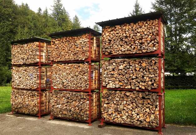 Проверка участка хранения позволяет своевременно выявить признаки появления вредных организмов или плесени. Обнаруженные очаги обрабатывают новыми партиями средств или проводят замену поврежденных участков. Проведение таких мероприятий обеспечивает стабильное качество и минимизирует расходы на последующую очистку и ремонт.