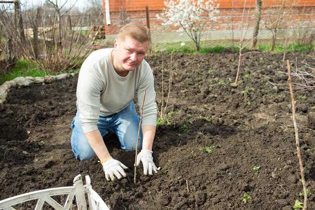 Как определить тип почвы и подобрать подходящие органические добавки для улучшения структуры