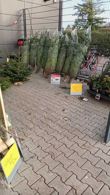 Оптимальная длина периметра для стандартной стоянки – около 6-9 метров на один уровень автомобиля, что позволяет предусматривать дополнительные пространства для открытия дверей и прохождения пешеходов.