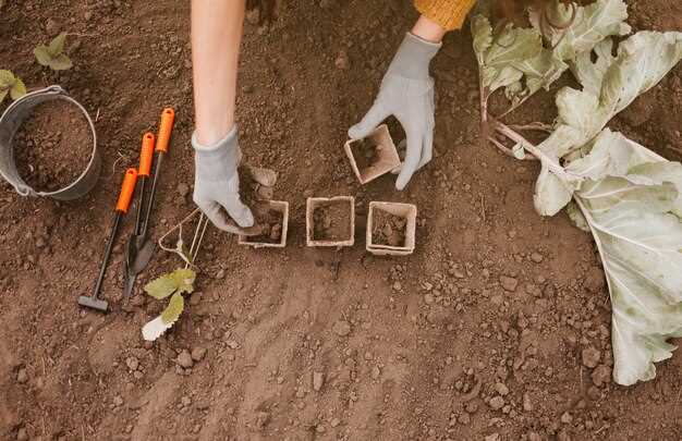 При равнировке важно контролировать горизонтальность после каждого этапа. Использование уровней или рейки с нивелиром позволит избегать просчетов, которые могут привести к неровностям в развитии ландшафта.