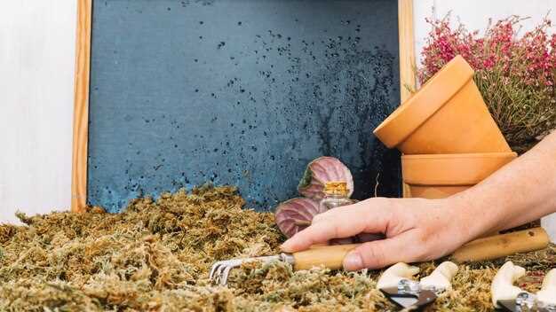 Затем укрепите стенки при помощи подручных материалов: доски, кирпича, камней или мешков с грунтом, делая их ровными и устойчивыми. Внутрь установите каркас из деревянных палок или металлической сетки для поддержки слоя органики и улучшения циркуляции воздуха. На дне разместите дренажный слой из гравия или щебня для отвода лишней влаги, избегая застоя воды и распространения неприятных запахов.