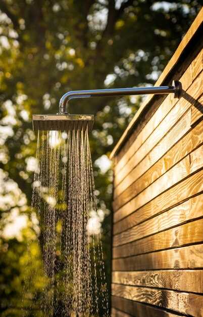 undefinedПри проектировании конструкций уличных водоизмещений</strong> важно учитывать не только прочность и долговечность используемых элементов, но и их способность эффективно справляться с влагой и осадками. Использование правильных материалов в зоне размещения водопотребных устройств снижает риск появления застоя воды и развития плесени.»></p>
<p><em>Особое внимание стоит уделить системе отвода</em>. Желательно предусмотреть уклон основания на 2-3%, чтобы обеспечить свободный сток воды и предотвратить её застаивание. Для этого применяют не только привычные желоба и трубопроводы, но и комбинированные решения, сочетающие дренажные системы и геотекстильные прослойки, препятствующие просачиванию грунта и образованию влаги.</p>
<p><img decoding=