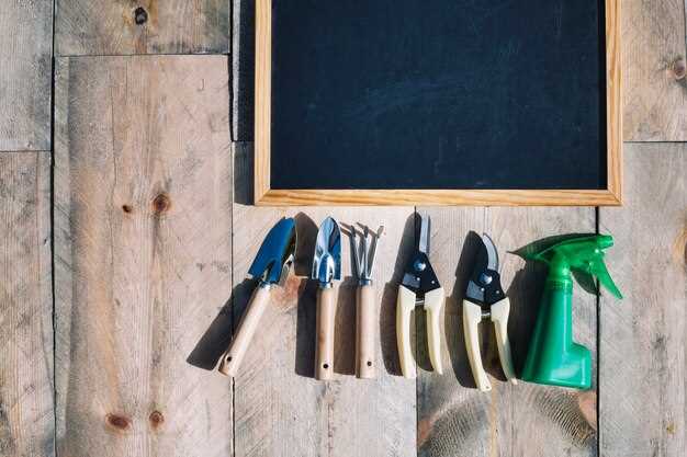 Выбор и установка прочного и удобного верстака для разной работы