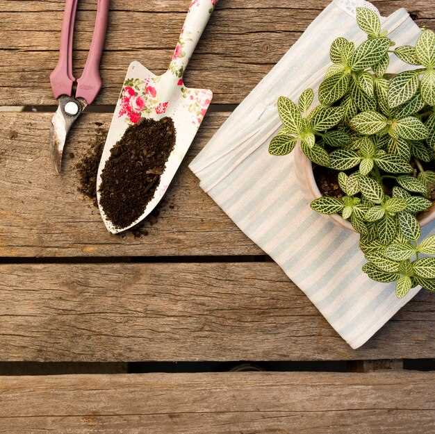 Выбор конкретных материалов зависит от типа культуры, условий выращивания и задач: натуральные компоненты подходят для декоративных садов, где важна биологическая активность, а синтетика–для технических решений или больших площадей, где ценится долговечность.