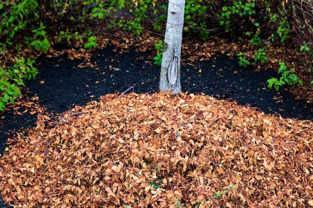 undefinedОптимальные материалы для защиты грунта</strong> – ключ к сохранению влаги, подавлению сорняков и повышению урожайности. Использование органических подстилок, таких как солома, кора или измельчённая трава, способствует не только утеплению почвы, но и насыщает её полезными веществами по мере разложения. Пастбищный скошенный сено или опилки подчеркивают свою роль в стимулировании микроэлементов и уменьшении затрат на полив.»></p>
<p><em>Выбор подходящего покрытия</em> зависит от специфики участка и целей садовода. Пенёчные подклады или тонкие слои опавших листьев создают барьер против высыхания и помогают сохранить структуру почвы. Тонкая мембрана из нетканого материала предотвращает рост сорняков в течение нескольких месяцев, что значительно сокращает необходимость ручного прополота и ухода за растениями.</p>
<p><img decoding=