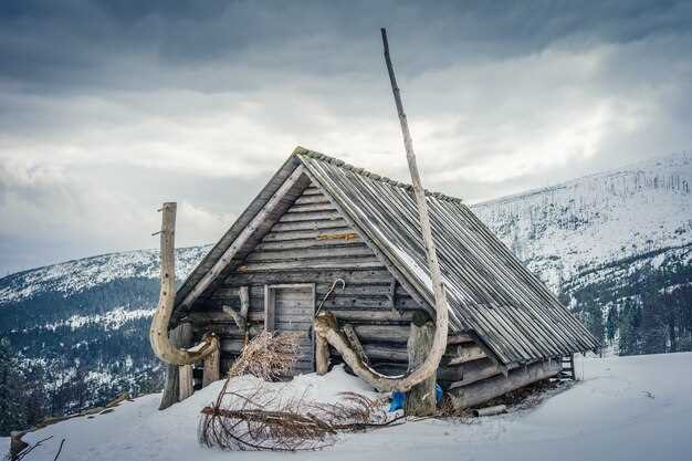 Оптимальной основой для строительства прочного укрытия станет выбор фундамента, способного выдержать нагрузку и предотвратить смещение. Наиболее подходящим вариантом станет фундамент из бетонных блоков или заливка мелкозаглубленного основания из бетона с армированием. Такой фундамент обеспечит стабильность и защитит покрытие от деформаций под воздействием влаги и температурных колебаний.
