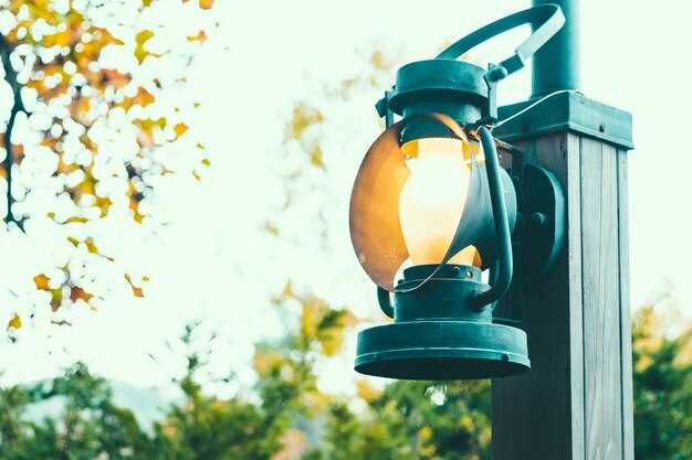 Важно размещать источники так, чтобы свет не создавал теневых полос и не вредил зрительному восприятию окружающей природы. Например, нижние элементы освещения, такие как грунтовые светильники, нужно устанавливать в междудеревьях и под кустами на расстоянии не менее 30 сантиметров друг от друга.