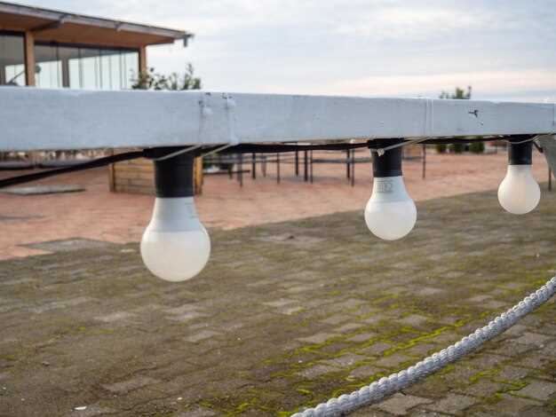 Правила размещения светильников для равномерного освещения садовой зоны