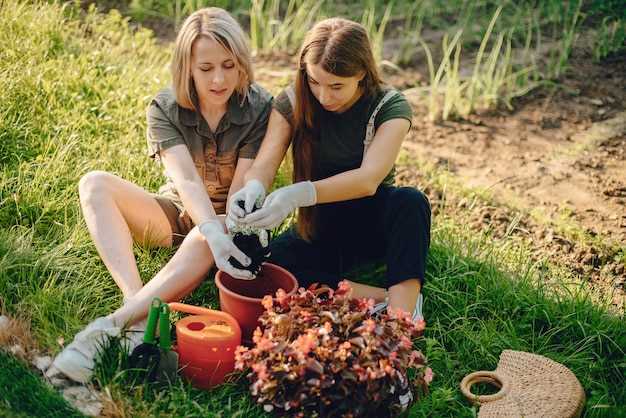 За пару недель до высадки зелени рекомендуется засеять почву сидератами – горчицей, люпином или фацелией. Их корневая система насыщает грунт азотом и улучшает структуру, одновременно подавляя развитие патогенной микрофлоры. После их выращивания проводят поверхностное рыхление и проводят последние корректировки состава из подкормок.