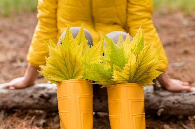 Для защиты от заморозков эффективно используют мульчу – например, опилки или солому. Они создают воздушный слой вокруг корней, препятствуют быстрому остыванию и препятствуют развитию вредных микроорганизмов.