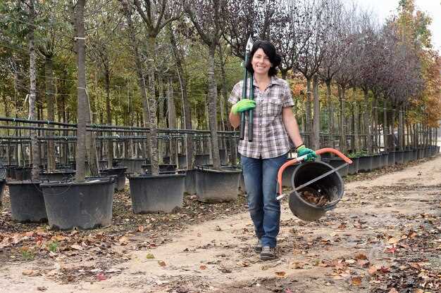 Основание для укладки покрытий должно иметь минимальную толщину слоя 10–15 см и быть сформировано из гравия или щебня, предварительно хорошо утрамбованного. Перед началом работы тщательно проверяют уровень горизонта, чтобы избежать неровностей и проседаний. Для предотвращения размывающего воздействия влаги используют геотекстиль, который укладывают непосредственно на подготовленное основание, не забывая о перекрытии полотен минимум на 30 см для исключения размыва границ.