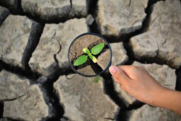 Методика смены культур