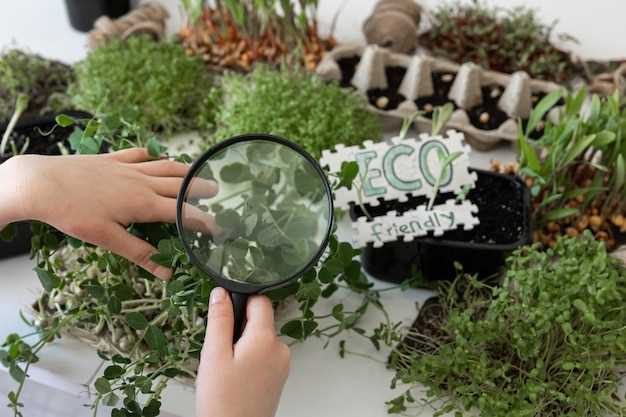 Для предотвращения распространения патогенов рекомендуется менять тип выращиваемых видов через примерно 3-4 сезона. Например, на месте, где ранее росла капуста или редиска, на следующий год можно высадить кукурузу или бобовые. Такой подход помогает разорвать цепь передачи болезней, так как большинство патогенов и вредителей привязаны к определённым видам растений.