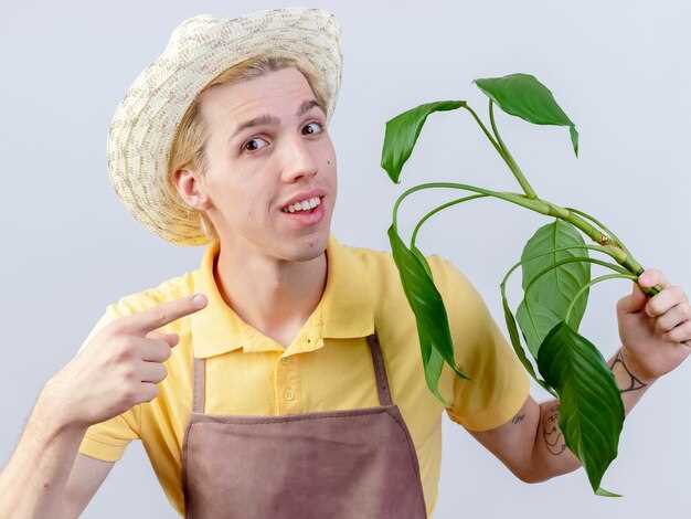 Используйте предварительную обработку семян и дезинфекцию почвенных слоёв, где недавно росли восприимчивые культуры. Эти меры позволяют минимизировать риск внедрения и распространения инфекций и вредных микроорганизмов.