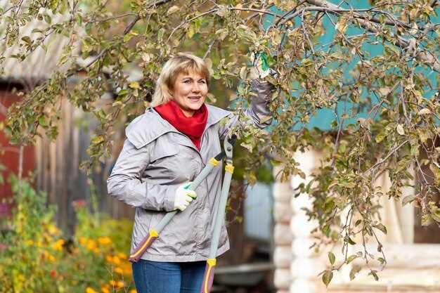 Обеспечьте профилактическую обработку фунгицидами и инсектицидами, ориентируясь на специфические сезонные угрозы, чтобы предотвратить риск развития инфекций и вредителей в будущем.