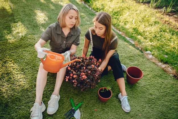 Для повышения плодородия вбирайте комплексное удобрение, содержащее азот, фосфор и калий. Вносите его равномерно по всей площади, равномерно распределяя по поверхности и аккуратно заделывая в почву.
