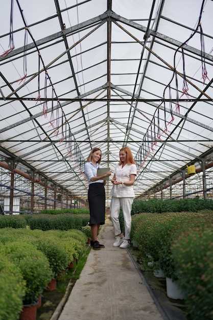 Меры предотвращения внешних воздействий