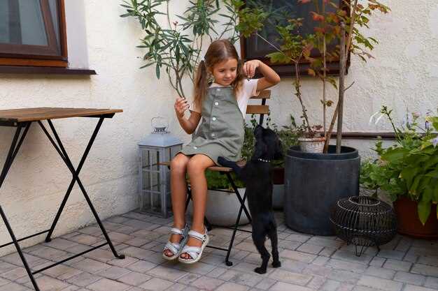 Выбирая напольное покрытие, стоит обратить внимание на полимерные покрытия или привычный к использованию грунт с последующей укладкой садовой тротуарной плитки или дешёвого штучного камня. Такой подход поможет снизить расходы и при этом добиться привлекательного вида поверхностей. Для защиты от грязи и влаги можно использовать недорогие ткани, такие как агроволокно или полиэтиленовая плёнка.