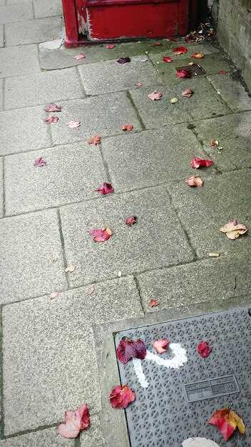 Для обеспечения герметичности покрытия необходимо выбирать системы укладки с использованием специальных монтажных профилей и герметиков, способных создавать непрерывную водонепроницаемую полоску. Использование профильных креплений с уплотнительными вставками минимизирует зазоры, через которые может проникнуть жидкость или пыль.