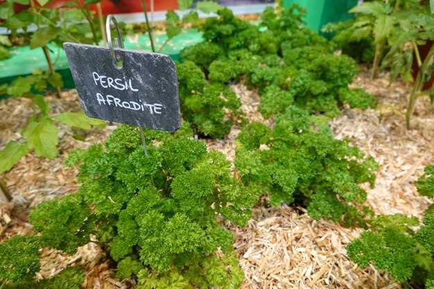 Кроме этого, ускоренный нагрев стимулирует активное развитие корней, что способствует более быстрому формированию зеленой массы и увеличению общего урожая. За счет этого сокращается временной цикл выращивания и повышается эффективное использование временных ресурсов.