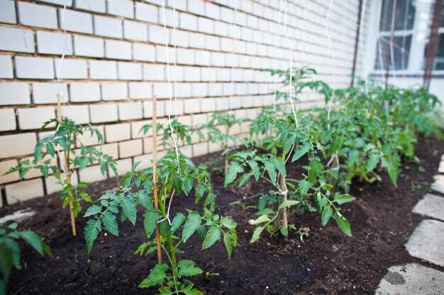 Ключевым недостатком подобных конструкций считается необходимость регулярного обслуживания и возможное изменение характеристик почвы внутри внедрённых сооружений. В процессе эксплуатации важно своевременно устранять трещины и следить за состоянием используемых материалов, чтобы избежать разрушений и обеспечивать благоприятные условия для выращивания растений.
