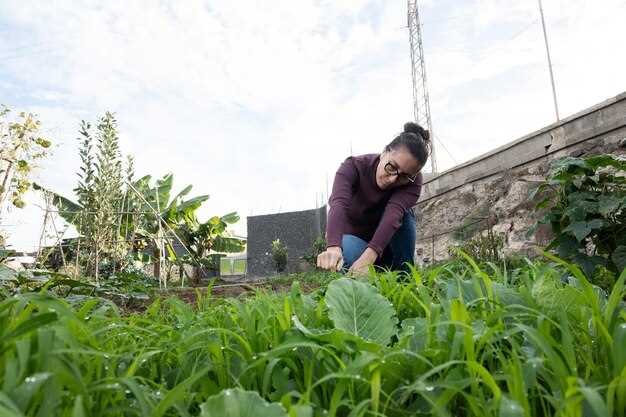Благодаря такому формату, тепловой режим внутри грядки легче корректировать, особенно в холодное время года. В результате, растения достигают зрелости быстрее, а урожайность увеличивается значительно по сравнению с посадками на традиционной земле.