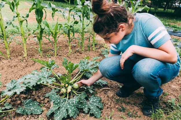 Как повышенная высота способствует лучшему прогреву почвы и сокращению времени выращивания культур